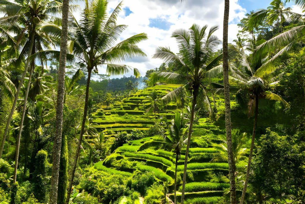 Bali, Indonezia